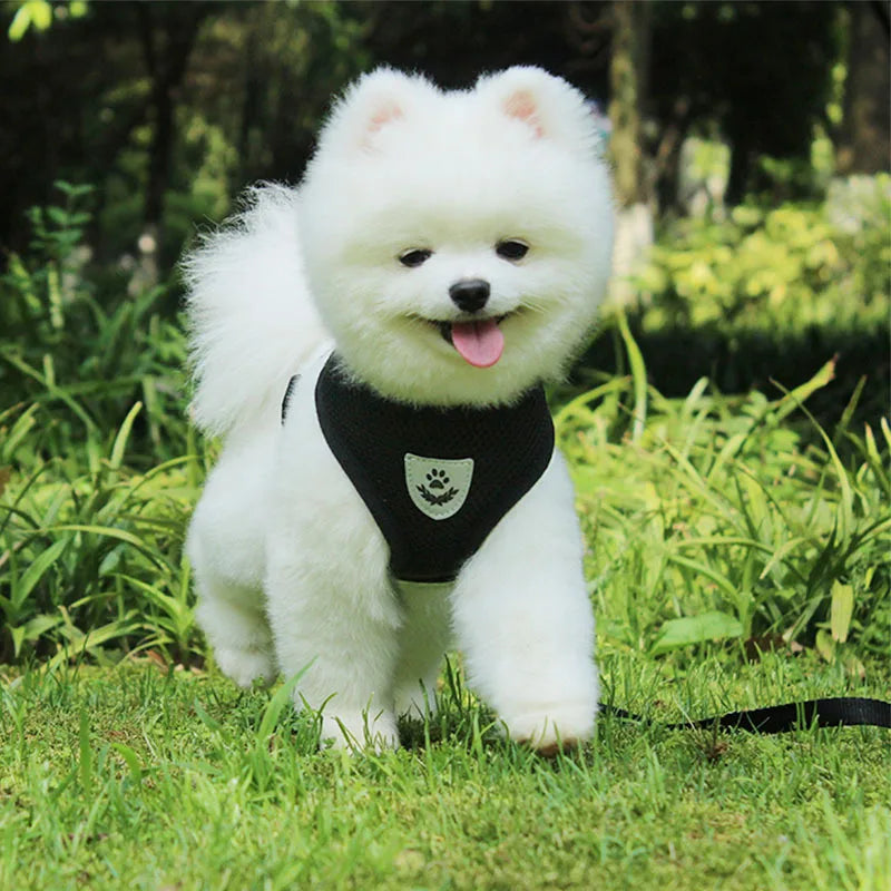 Green FlexFit Pet Harness