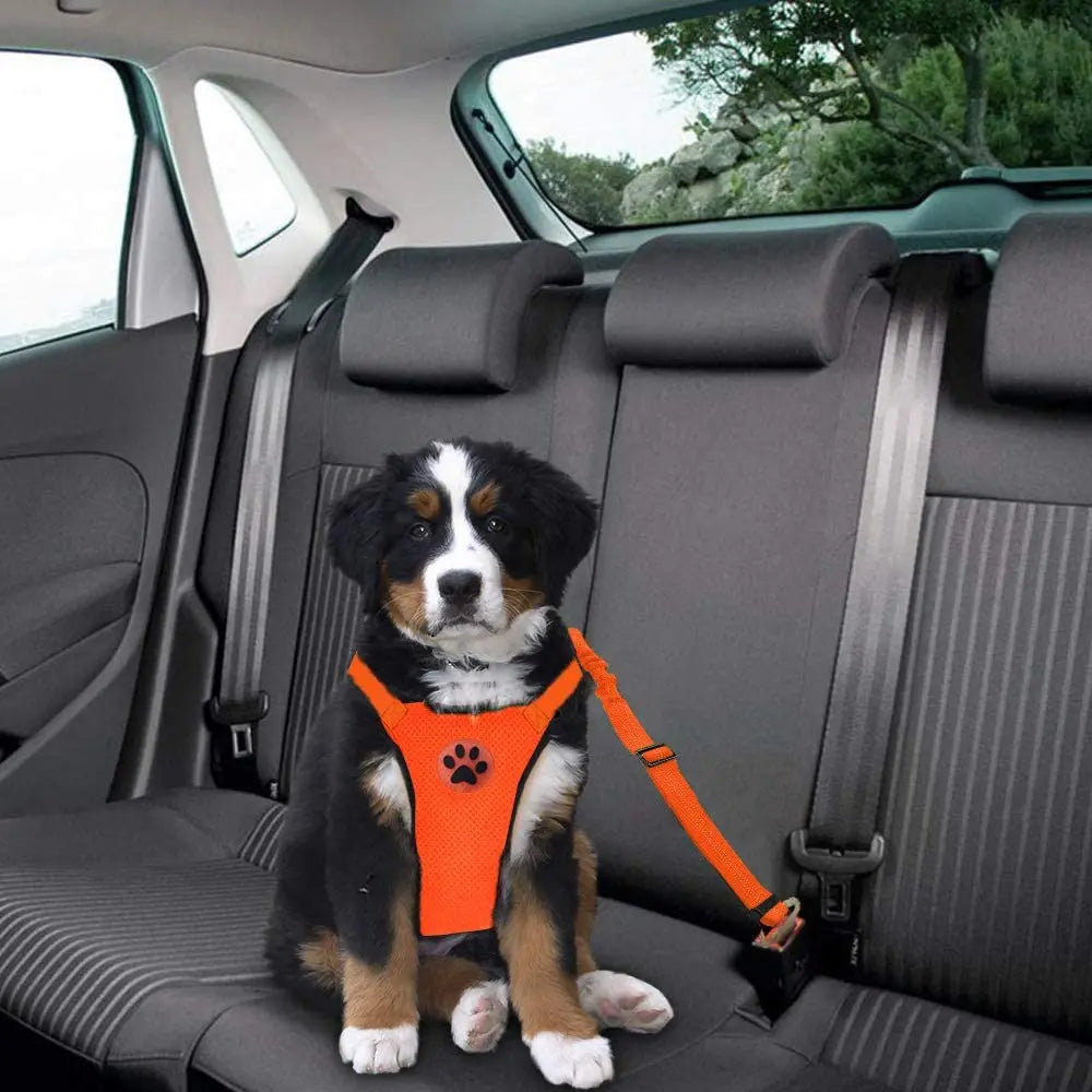 Red FlexFit Pet Harness