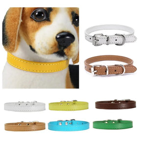 Lake Blue ChicTrek Collar