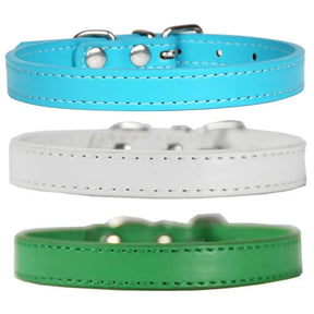 Lake Blue ChicTrek Collar