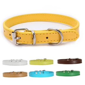 Yellow ChicTrek Collar