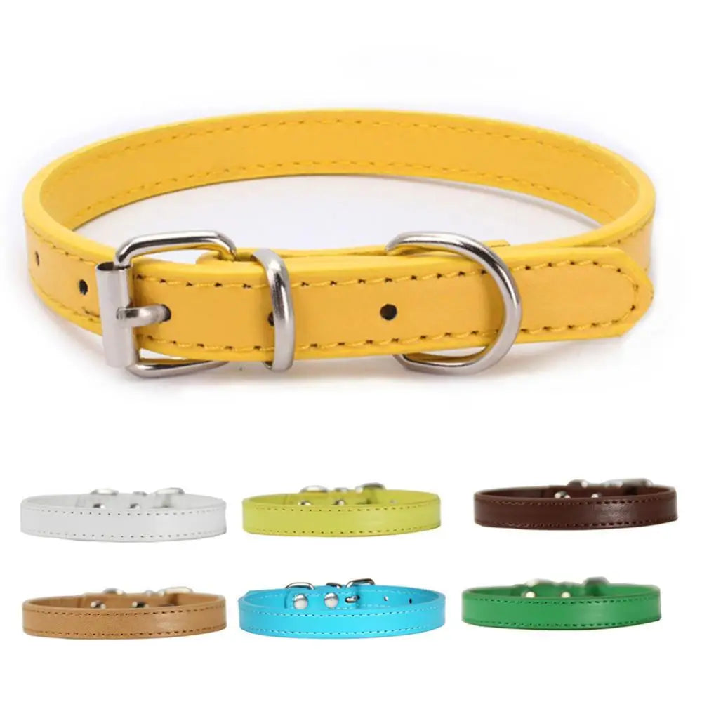 Coffee ChicTrek Collar