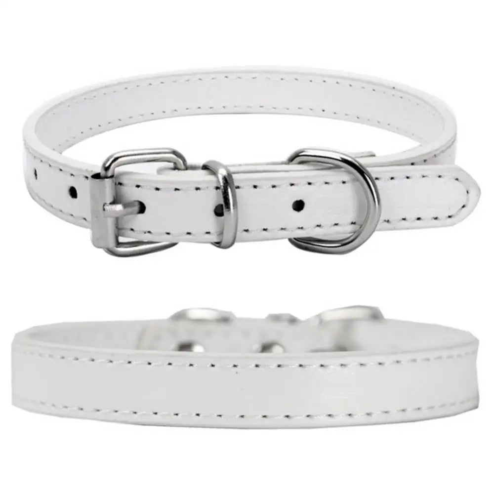 White ChicTrek Collar