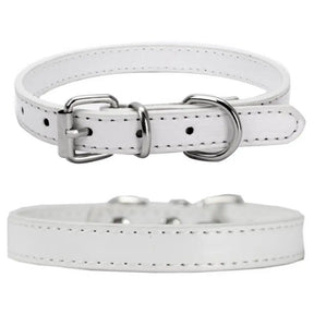 White ChicTrek Collar