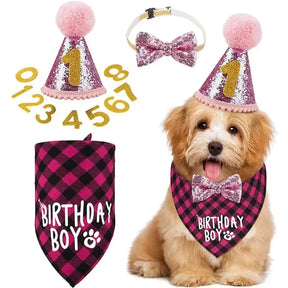 Pink Collar Pawty Essentials