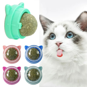 Green Blue NipBall Treat