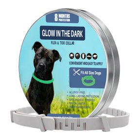 GlowGuard Collar 38cm