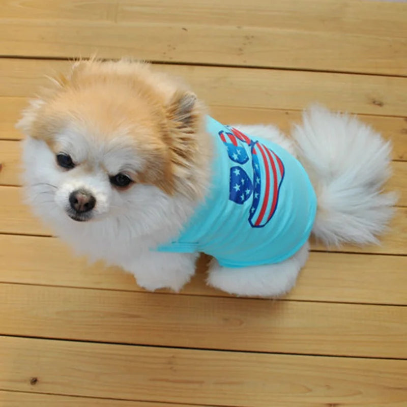 Blue AiryPaws Vest