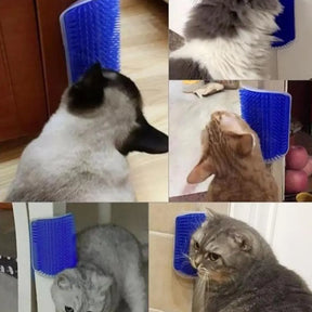 Blue CatnipGroomer