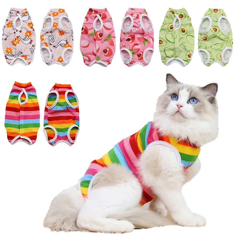 Donut Pattern RecoveryPaws Suit