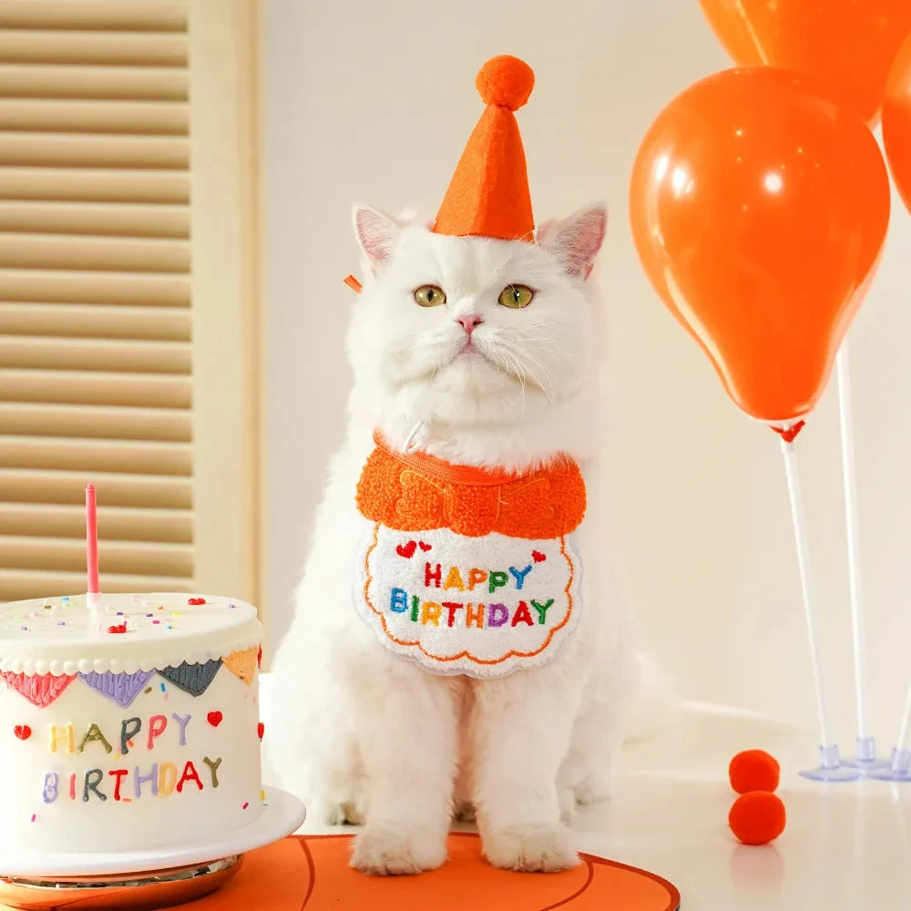 Orange Birthday Paws