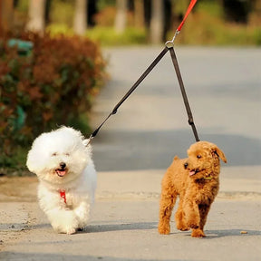 Rose Red DualWalk Leash