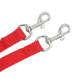 Red DualWalk Leash