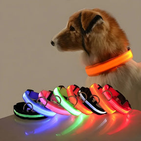 Yellow GlowGuard Collar