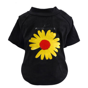 Black Yellow Daisy