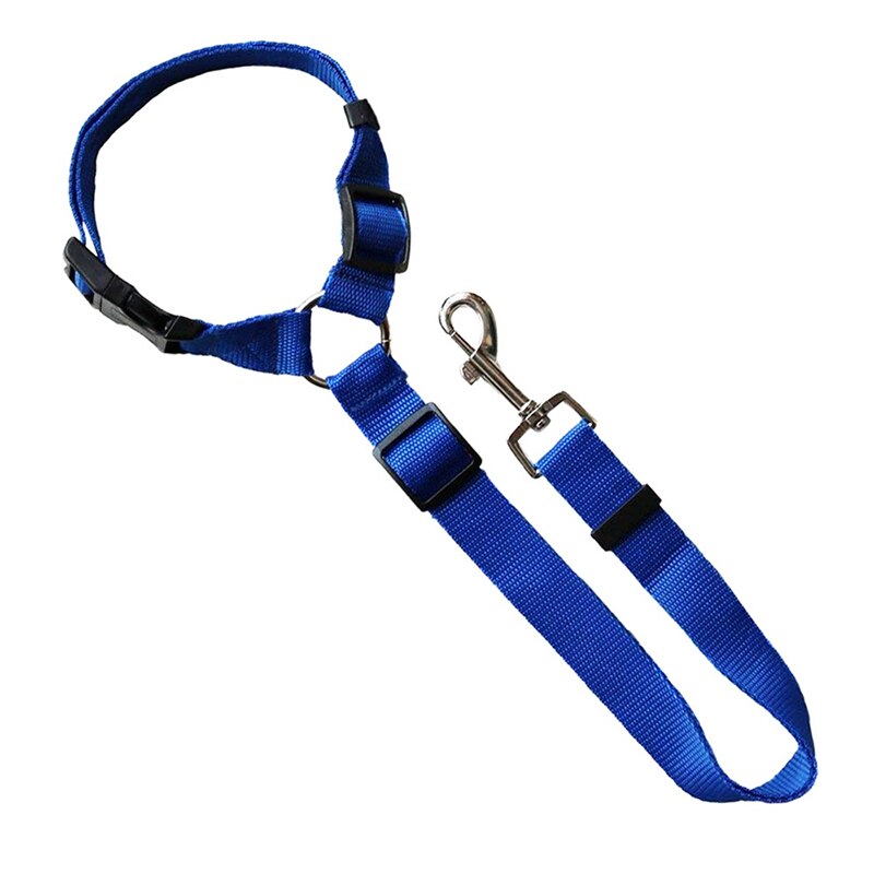 Blue Seat Belt & Leash